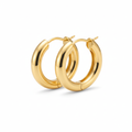 Timeless Gold Hoop Earrings